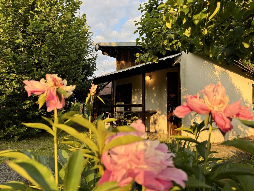 Działka rod Nowa Dęba. Zdjęcie 2