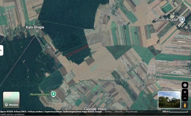 Działka leśna Wychody. Zdjęcie 1