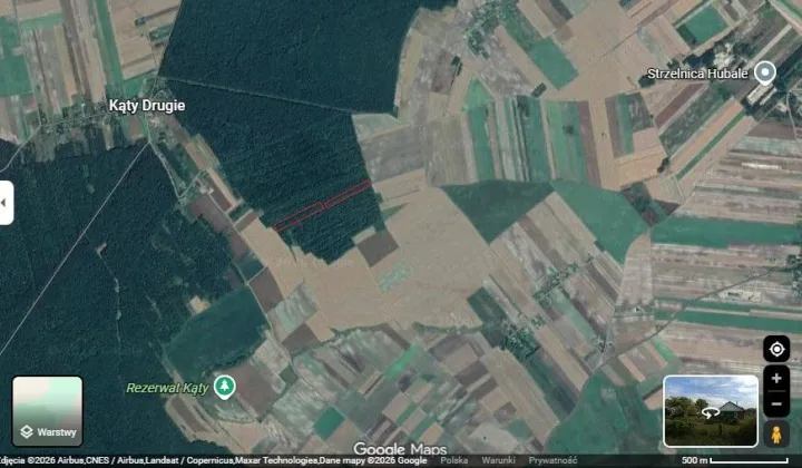 Działka leśna Wychody