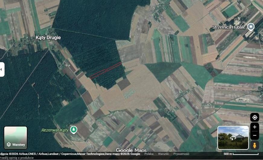 Działka leśna Wychody. Zdjęcie 1