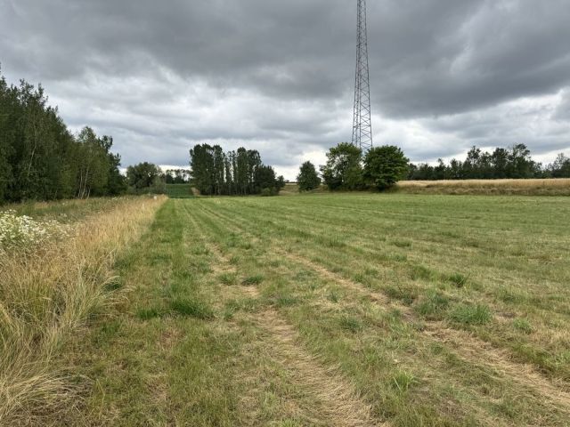 Działka budowlana Rożdżały. Zdjęcie 1