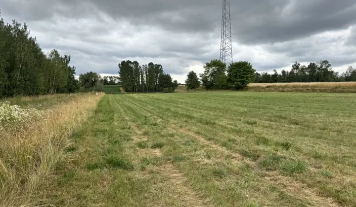 Działka budowlana Rożdżały