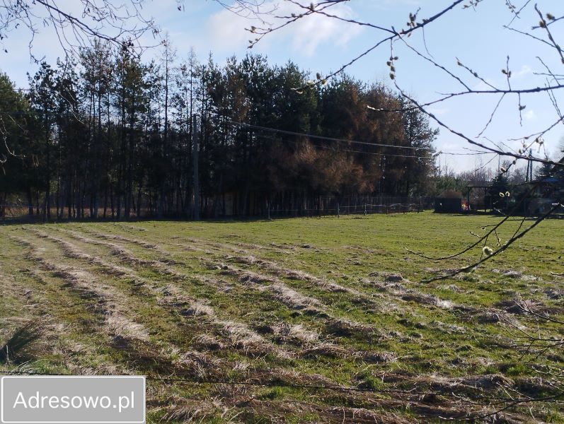 Działka budowlana Zofinin. Zdjęcie 8