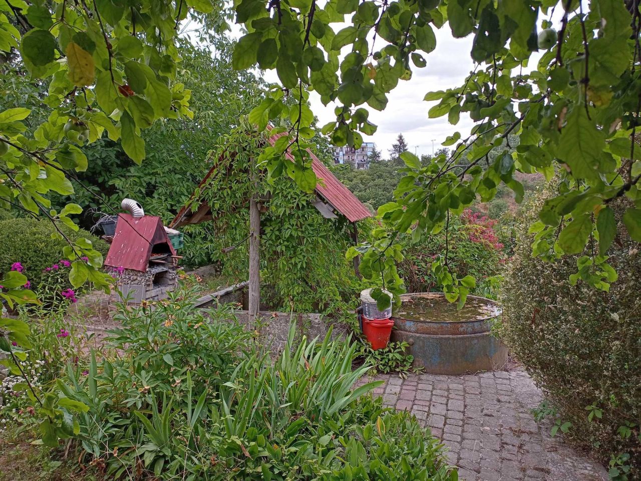 Działka rod Nakło nad Notecią. Zdjęcie 4