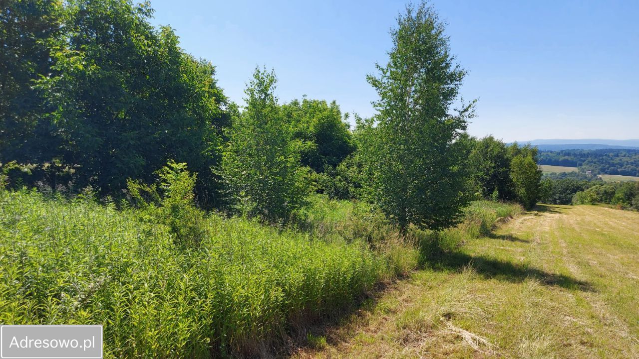 Działka budowlana Buków. Zdjęcie 3