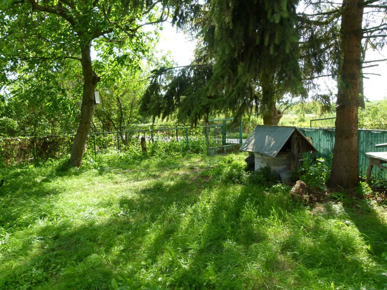 gospodarstwo Sobienie-Jeziory. Zdjęcie 7