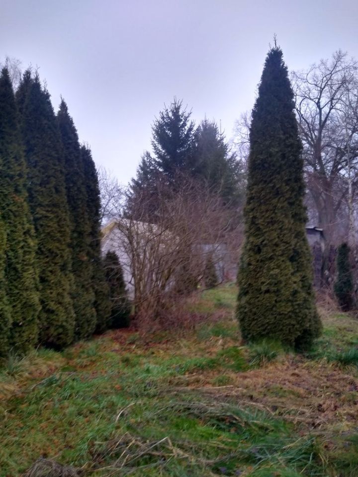 Działka rod Piła. Zdjęcie 3