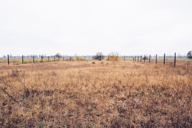 Działka budowlana Rynarzewo. Zdjęcie 4