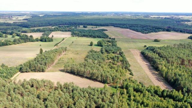 Działka rolna Osetno. Zdjęcie 8