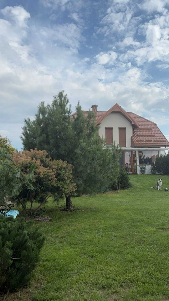 dom wolnostojący Zielona. Zdjęcie 6