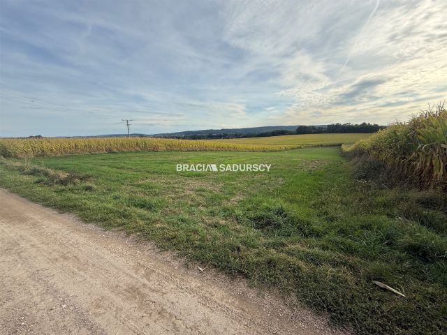 Działka budowlana Karniowice, ul. Kwiatowa. Zdjęcie 3
