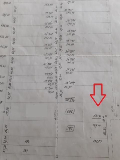 Działka leśna Zabłudów. Zdjęcie 3