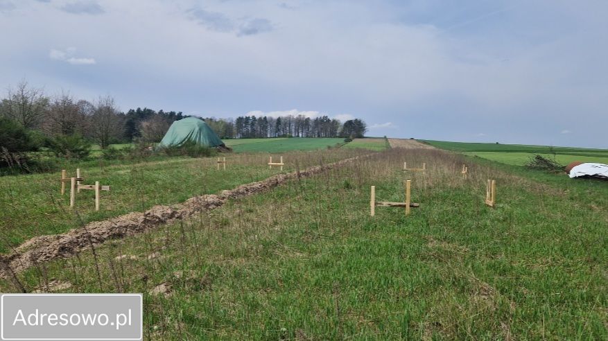Działka rolno-budowlana Bodzanowice, ul. Kiki