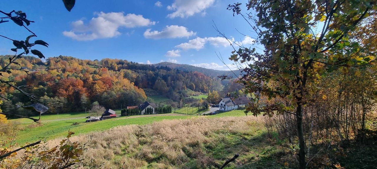 Działka budowlana Droginia. Zdjęcie 3