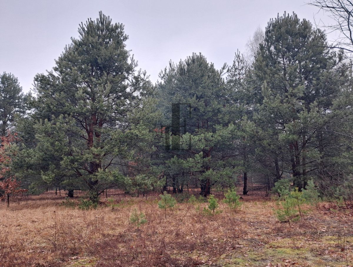 Działka budowlana Sulejówek Szkopówka, ul. Wspólna. Zdjęcie 2