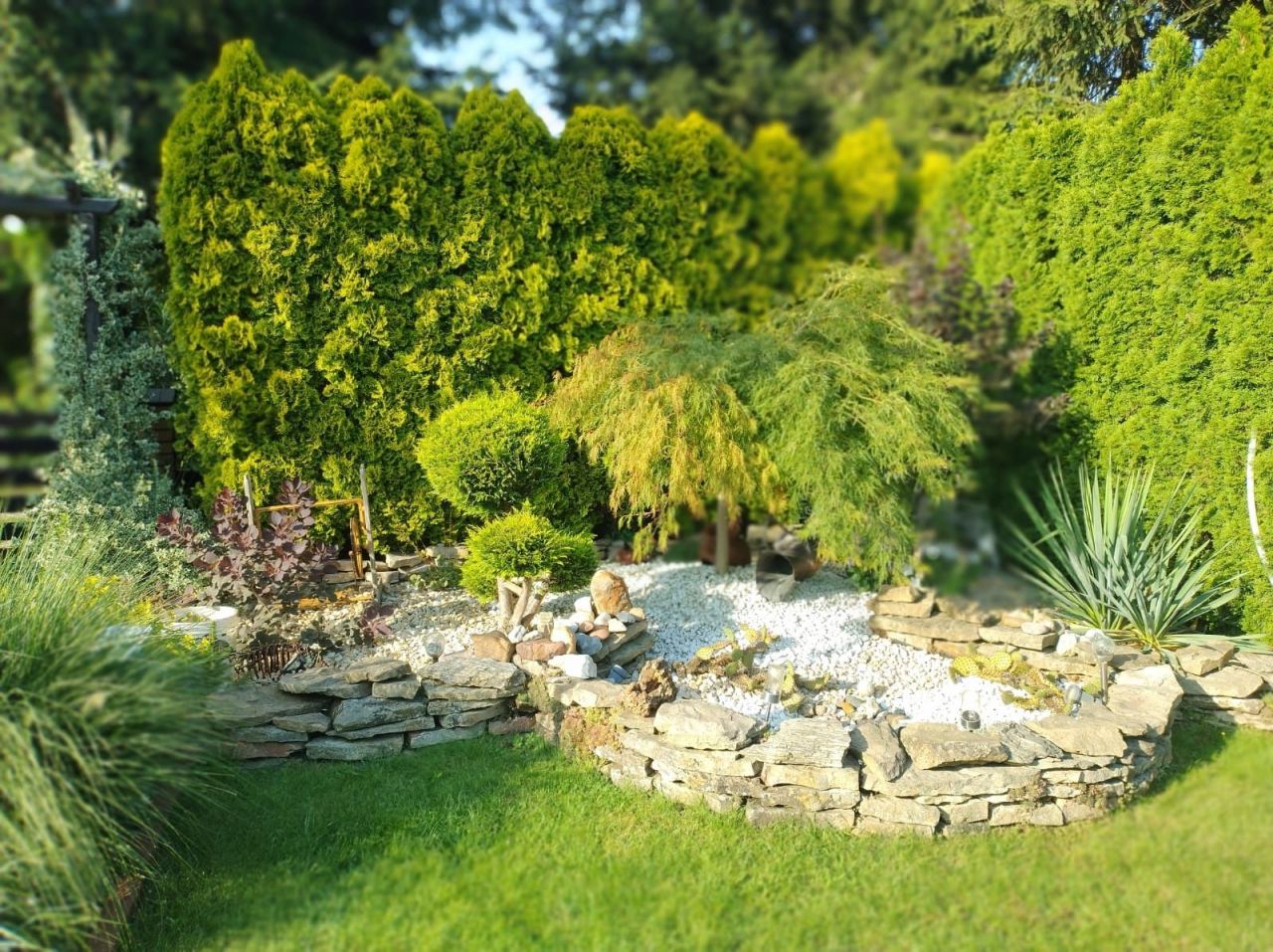 Działka rod Szałe. Zdjęcie 3