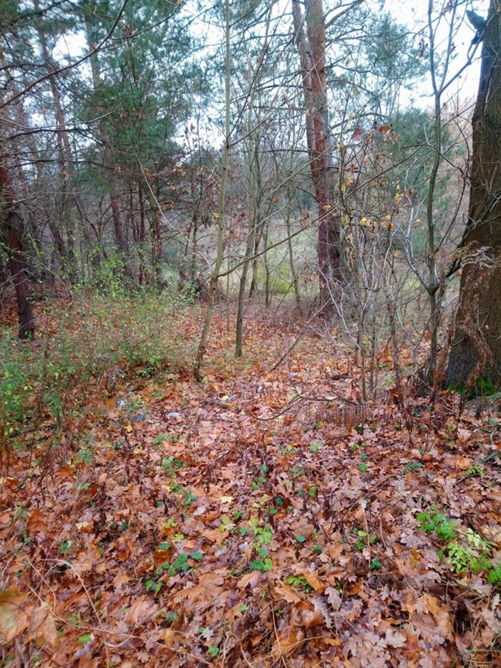 Działka rolna Ziewanice. Zdjęcie 2