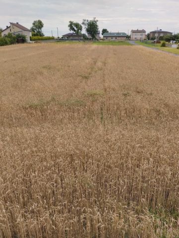 Działka budowlana Łobodno, ul. Sportowa. Zdjęcie 1