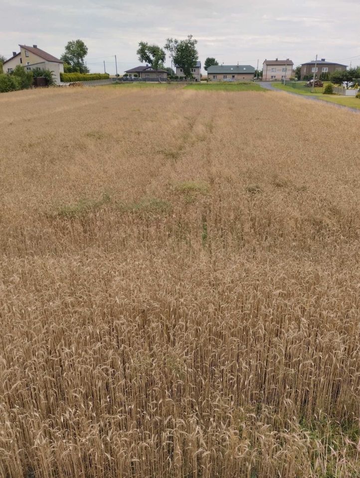 Działka budowlana Łobodno, ul. Sportowa