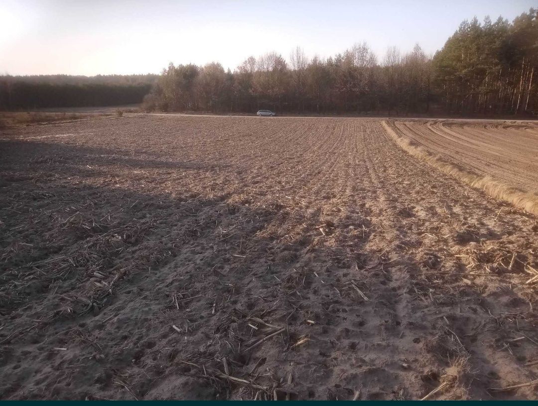 Działka budowlana Białkowo. Zdjęcie 2