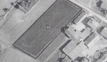 Działka rolna Kobylniki Seselów