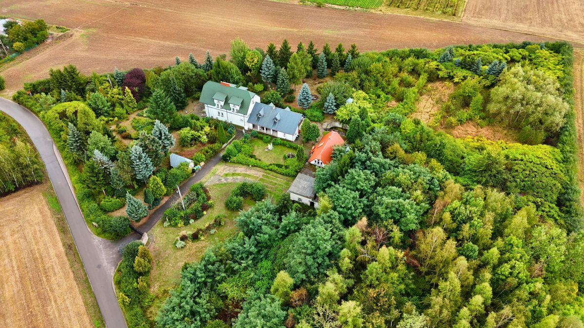 Działka rolna Zochcinek. Zdjęcie 4