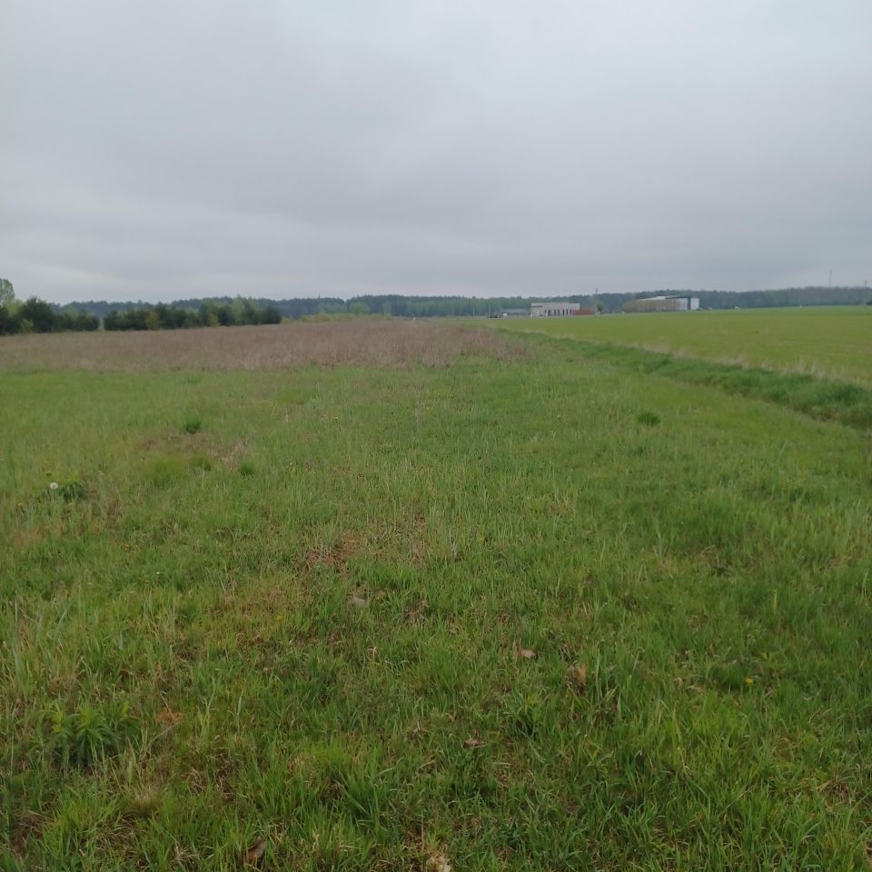 Działka rolno-budowlana Krusze, ul. Kryształowa. Zdjęcie 5