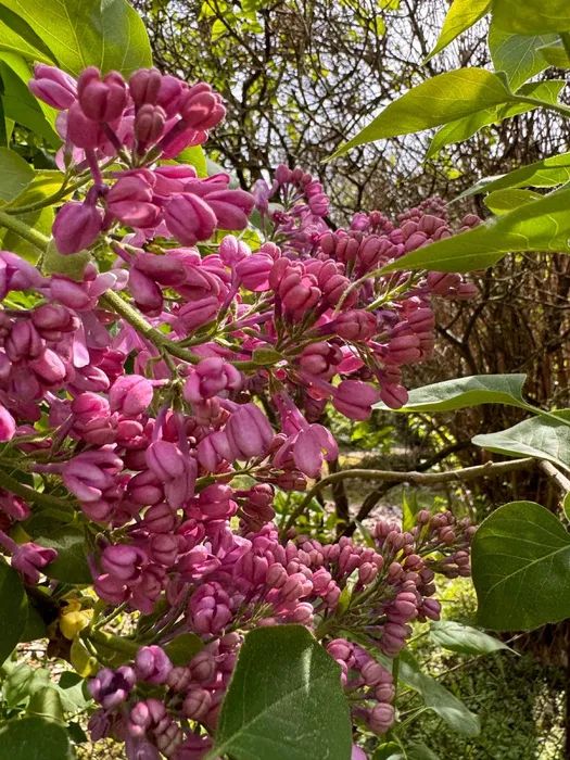 Działka rod Kraków Krowodrza, ul. Do Przystani. Zdjęcie 8