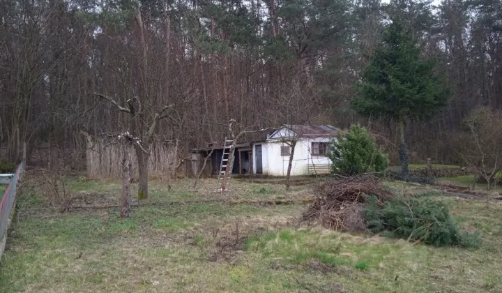 Działka rod Działdowo