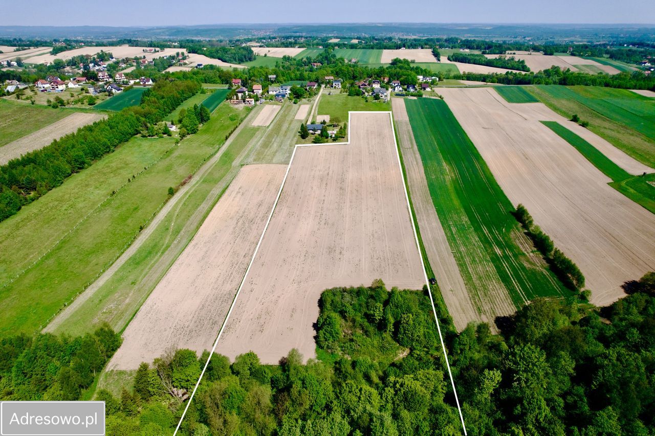Działka rolno-budowlana Tłuczań. Zdjęcie 4