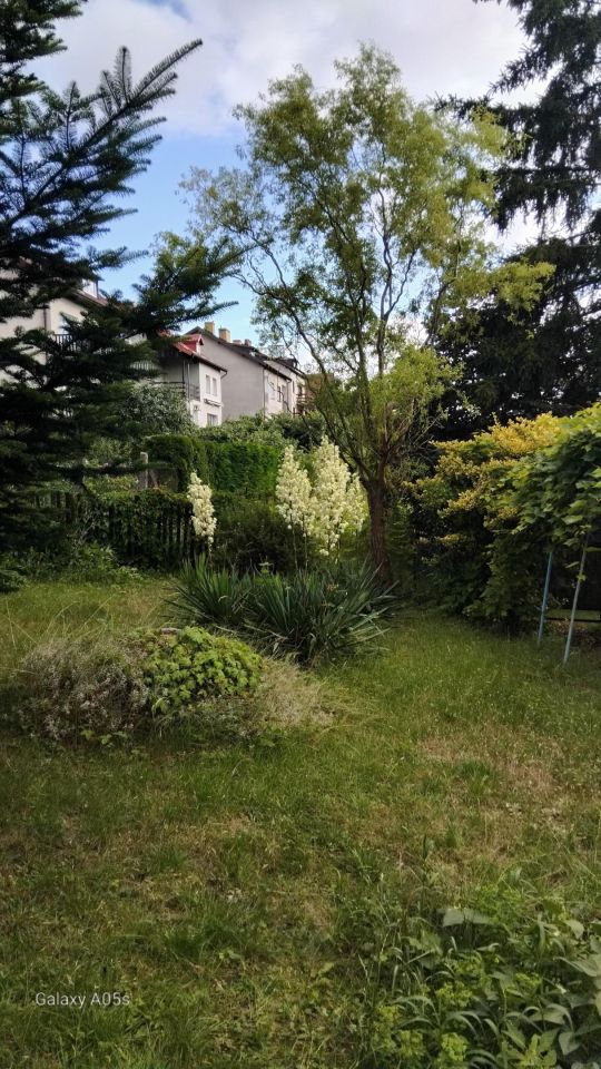 Działka rod Kwidzyn, ul. Józefa Hallera. Zdjęcie 2