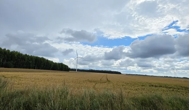 Działka rolna Bięcino