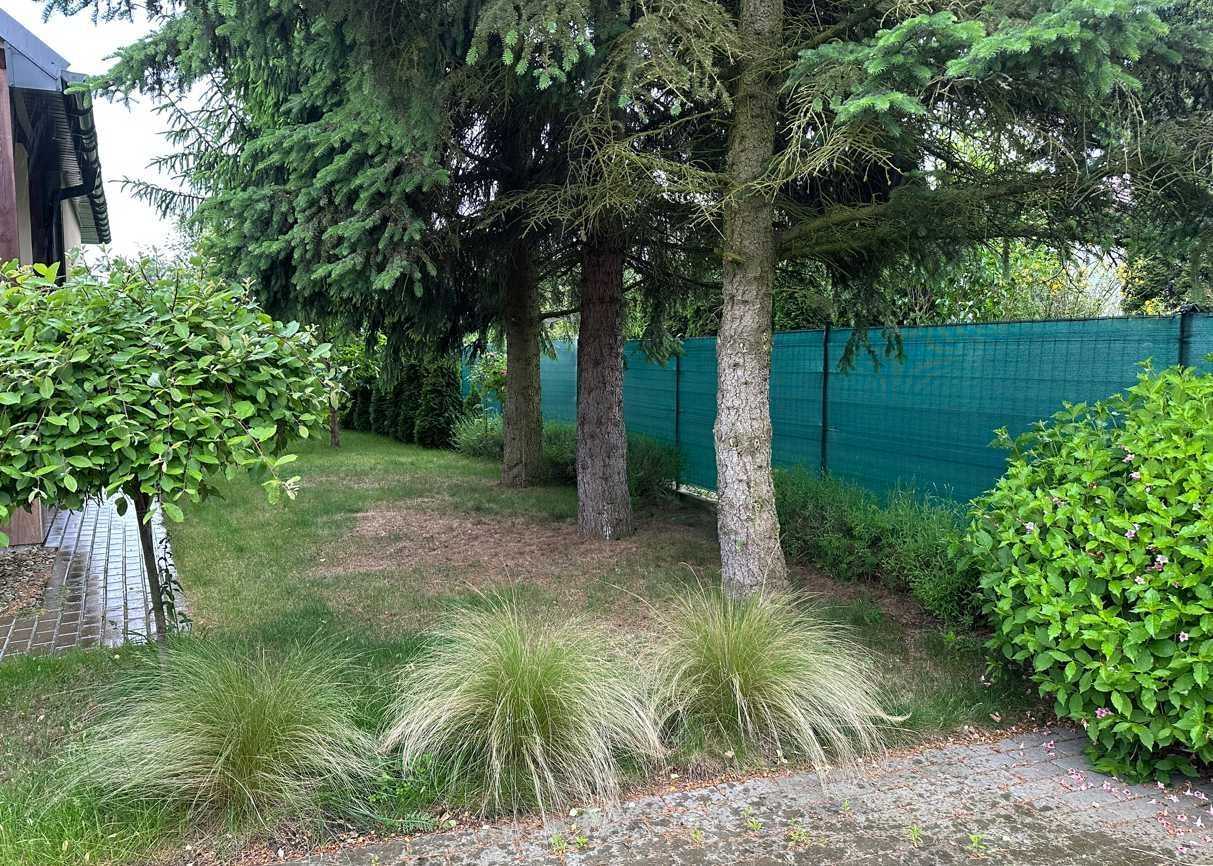 Działka rod Włocławek Rybnica. Zdjęcie 7