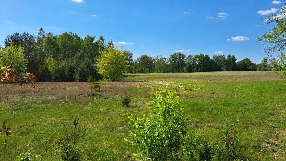 Działka rolna Aleksandria. Zdjęcie 3