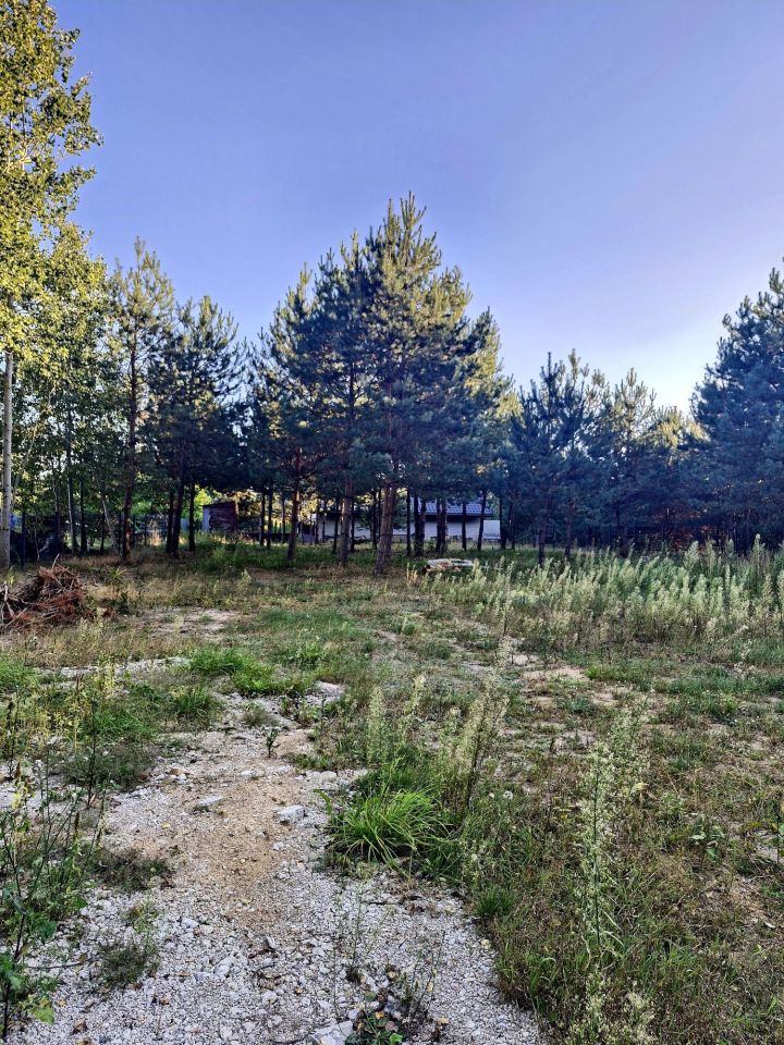 Działka budowlana Orzeszkowo. Zdjęcie 5