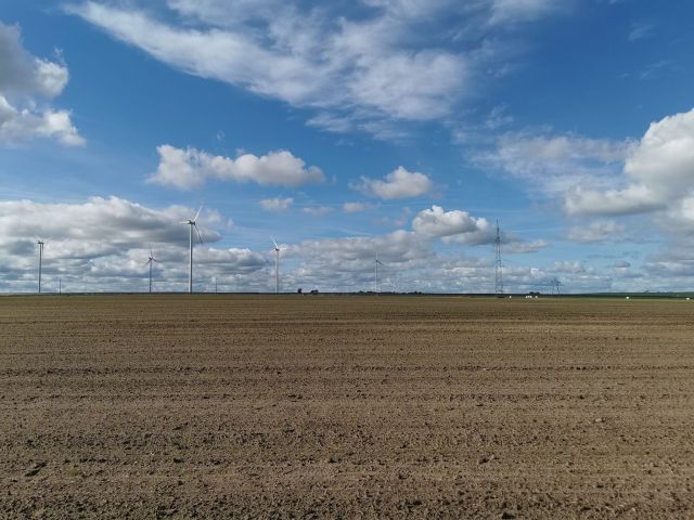 Działka inwestycyjna Blękwit. Zdjęcie 9