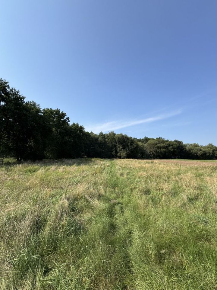 Działka budowlana Luboszyce, ul. Rolna. Zdjęcie 6