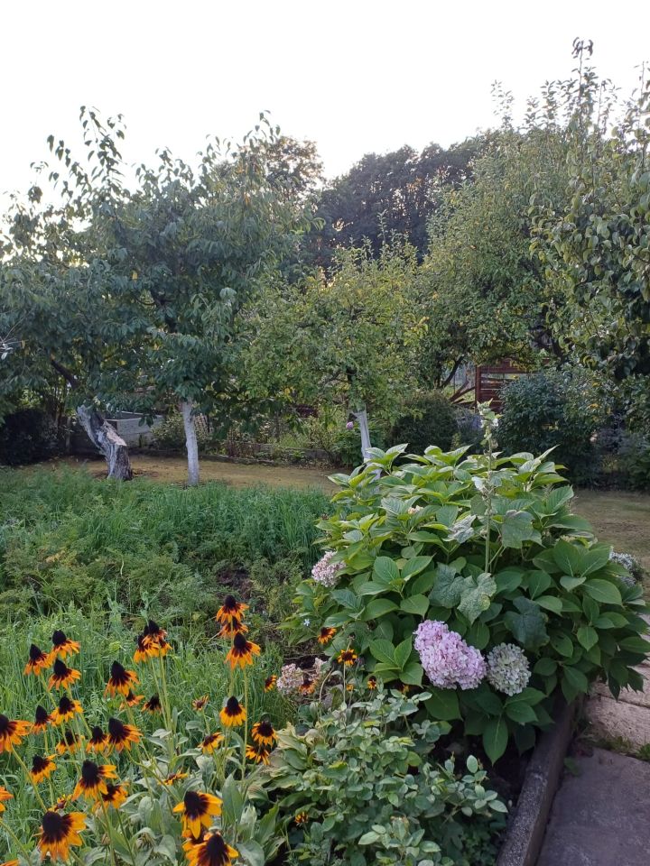 Działka rod Kwidzyn, ul. Furmańska. Zdjęcie 9