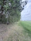 Działka rolno-budowlana Poręba-Kocęby. Zdjęcie 4