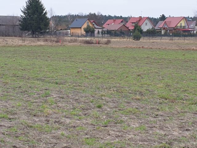 Działka rolno-budowlana Białka. Zdjęcie 1