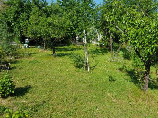 Działka rod Wrocław Ołbin, ul. Orawska. Zdjęcie 1