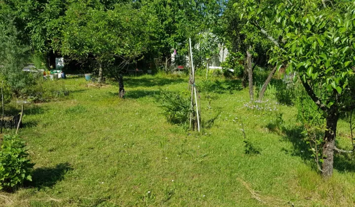 Działka rod Wrocław Ołbin, ul. Orawska