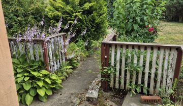 Działka rod Gniezno Winiary, ul. Biskupińska