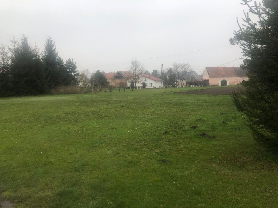 Działka budowlana Wierzbno. Zdjęcie 2