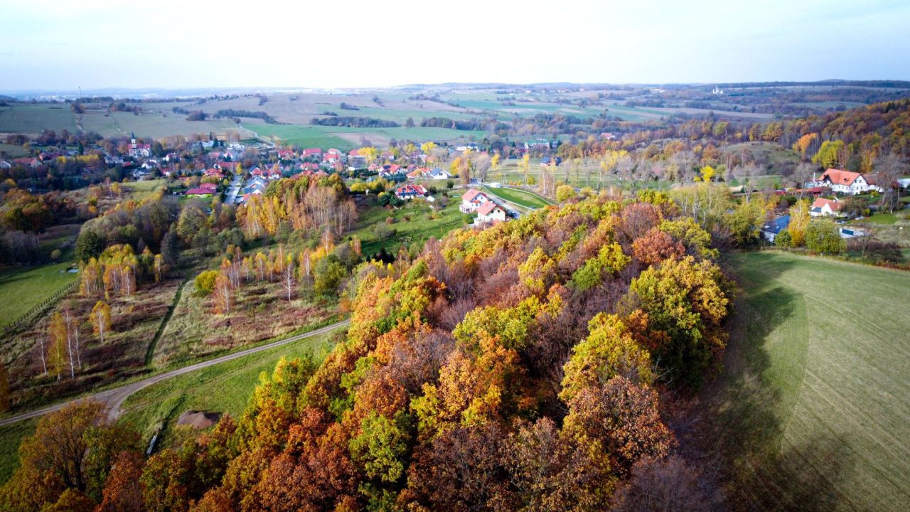 Działka budowlana Dziećmorowice. Zdjęcie 4