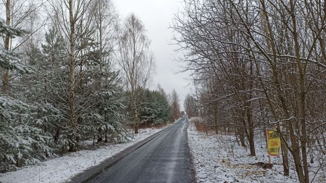Działka Suszeniec. Zdjęcie 1