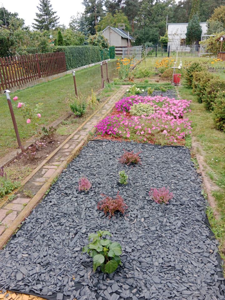 Działka rod Klucze, Stokrotka. Zdjęcie 9