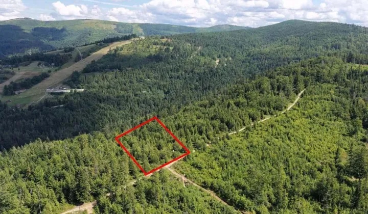 Działka leśna Szczyrk Biały Krzyż, ul. Grabowa