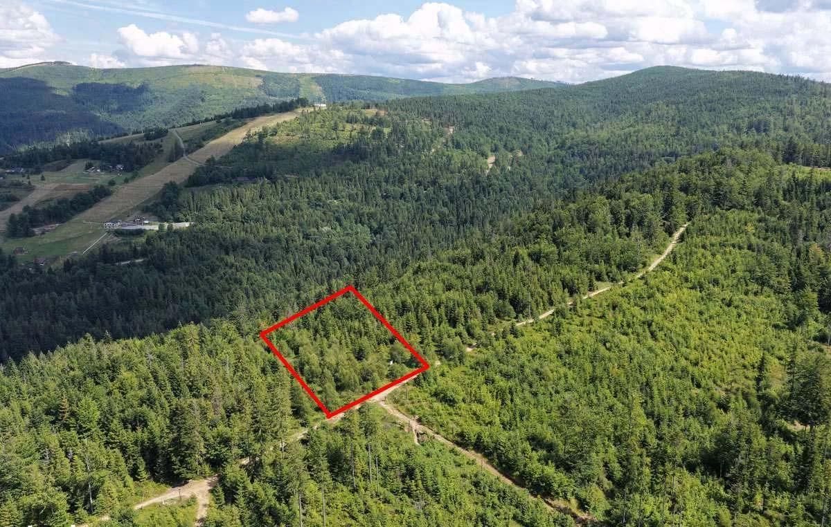 Działka leśna Szczyrk Biały Krzyż, ul. Grabowa. Zdjęcie 1