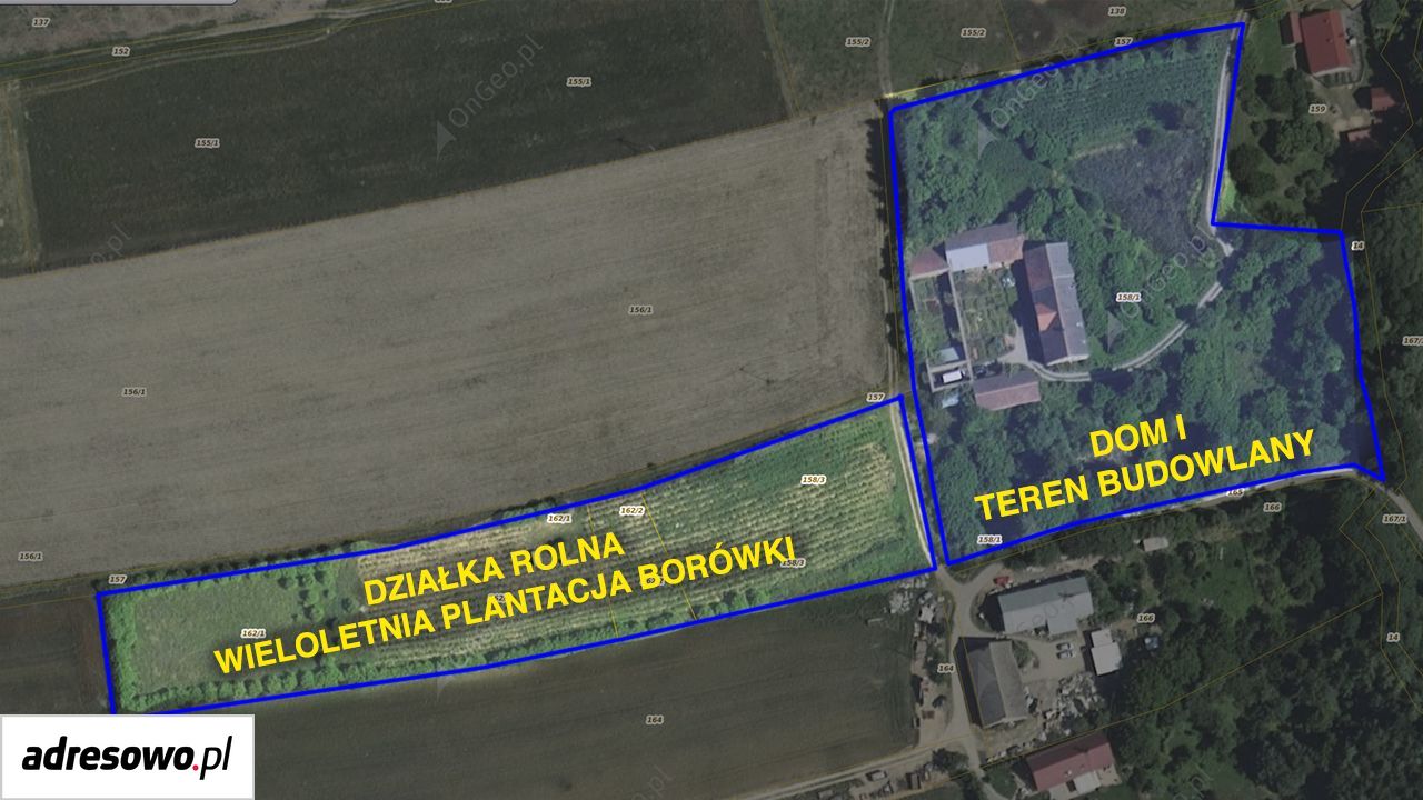 gospodarstwo, 12 pokoi Wojbórz. Zdjęcie 5